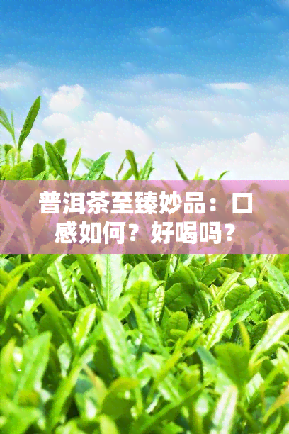 普洱茶至臻妙品：口感如何？好喝吗？