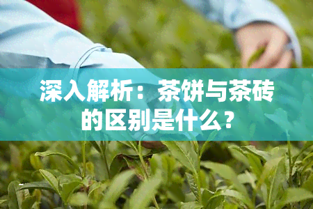 深入解析：茶饼与茶砖的区别是什么？