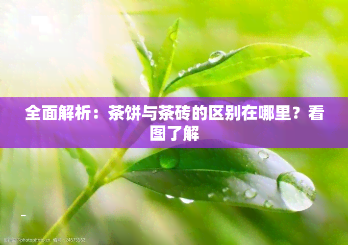 全面解析：茶饼与茶砖的区别在哪里？看图了解