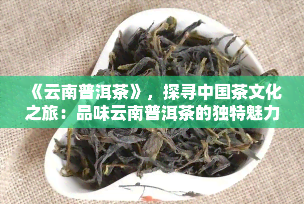 《云南普洱茶》，探寻中国茶文化之旅：品味云南普洱茶的独特魅力