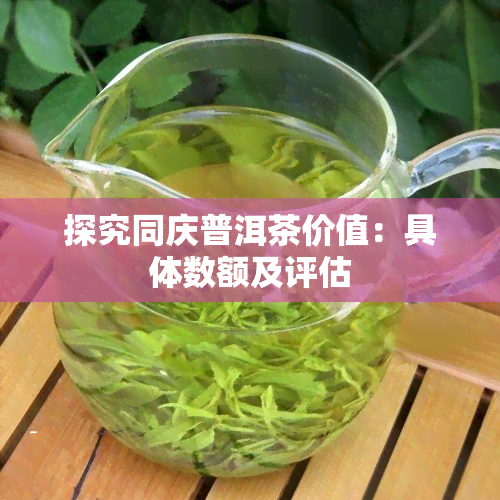 探究同庆普洱茶价值：具体数额及评估