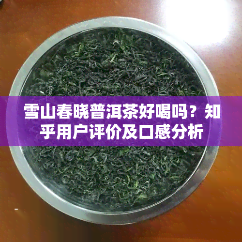 雪山春晓普洱茶好喝吗？知乎用户评价及口感分析