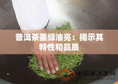 普洱茶墨绿油亮：揭示其特性和品质