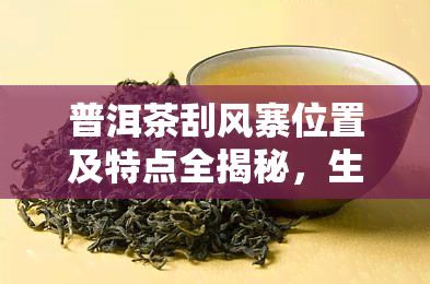 普洱茶刮风寨位置及特点全揭秘，生茶价格多少？