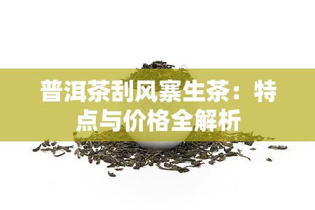 普洱茶刮风寨生茶：特点与价格全解析