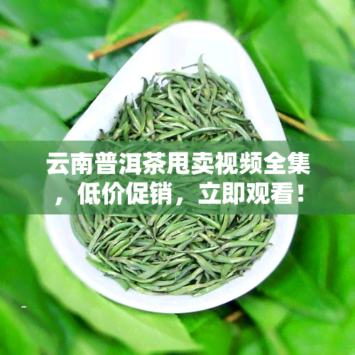 云南普洱茶甩卖视频全集，低价促销，立即观看！