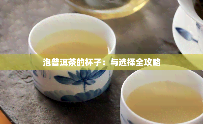 泡普洱茶的杯子：与选择全攻略