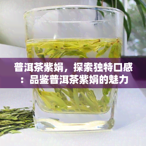 普洱茶紫娟，探索独特口感：品鉴普洱茶紫娟的魅力