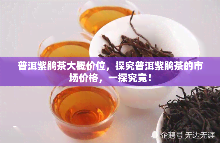 普洱紫鹃茶大概价位，探究普洱紫鹃茶的市场价格，一探究竟！