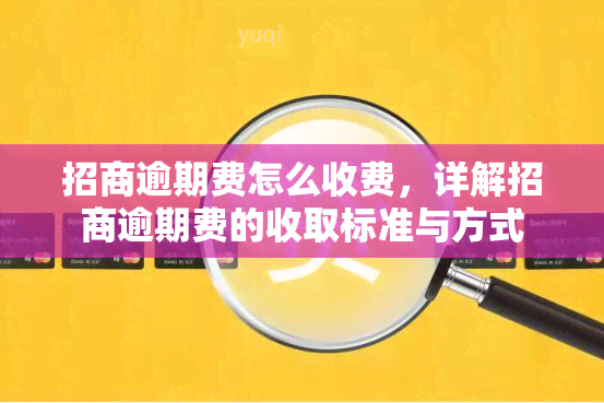 招商逾期费怎么收费，详解招商逾期费的收取标准与方式