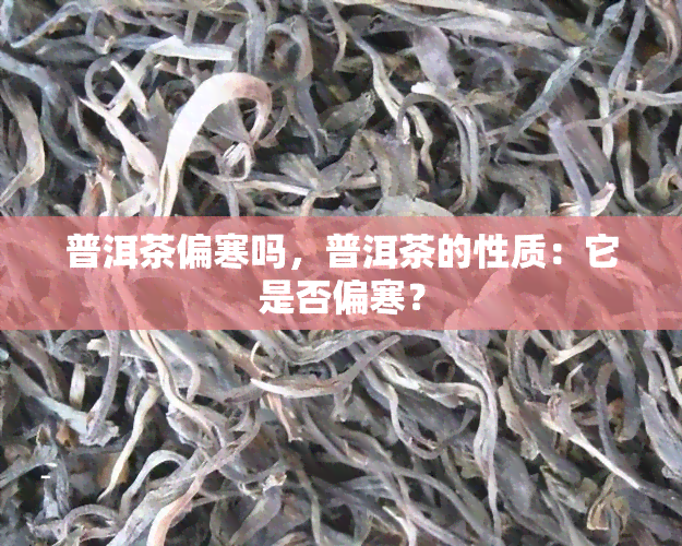 普洱茶偏寒吗，普洱茶的性质：它是否偏寒？