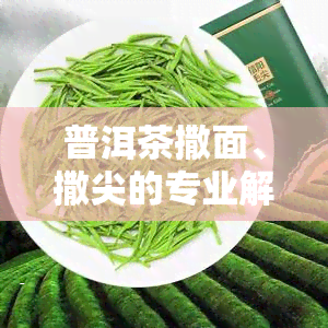 普洱茶撒面、撒尖的专业解释及含义