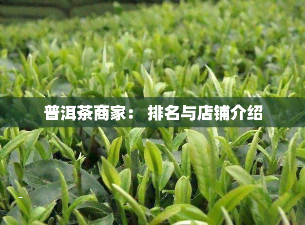 普洱茶商家： 排名与店铺介绍