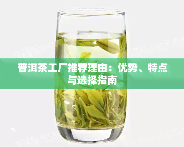 普洱茶工厂推荐理由：优势、特点与选择指南