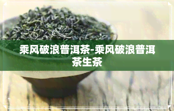 乘风破浪普洱茶-乘风破浪普洱茶生茶