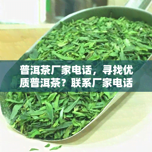 普洱茶厂家电话，寻找优质普洱茶？联系厂家电话，一手货源等你来挑！