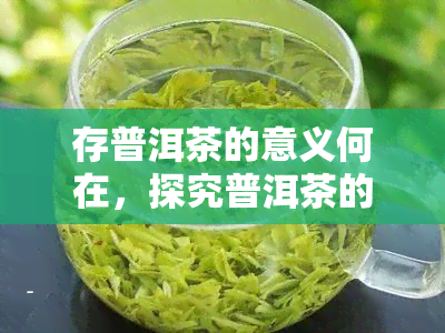 存普洱茶的意义何在，探究普洱茶的保存意义：为何要重视存?