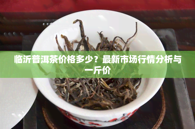 临沂普洱茶价格多少？最新市场行情分析与一斤价