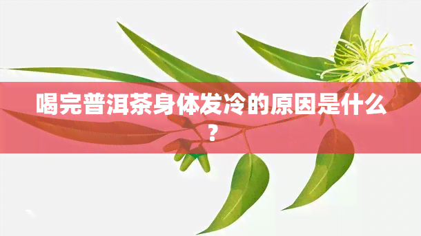 喝完普洱茶身体发冷的原因是什么？