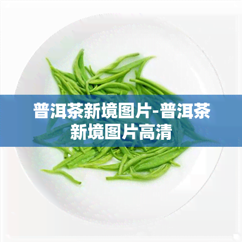 普洱茶新境图片-普洱茶新境图片高清