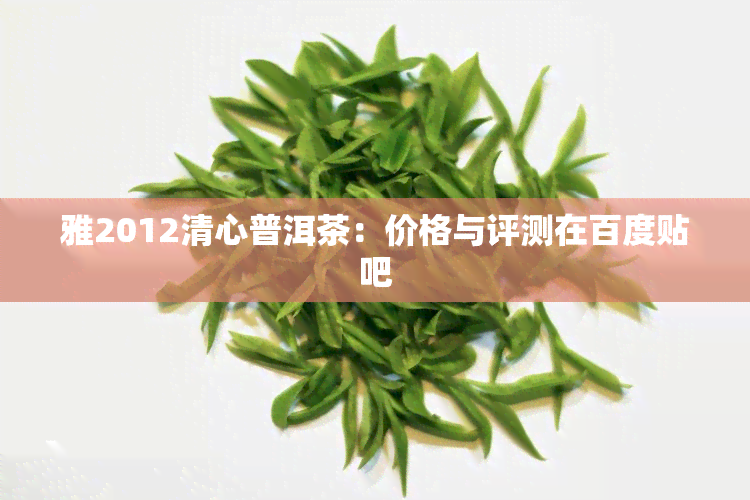 雅2012清心普洱茶：价格与评测在百度贴吧