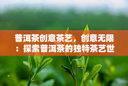 普洱茶创意茶艺，创意无限：探索普洱茶的独特茶艺世界