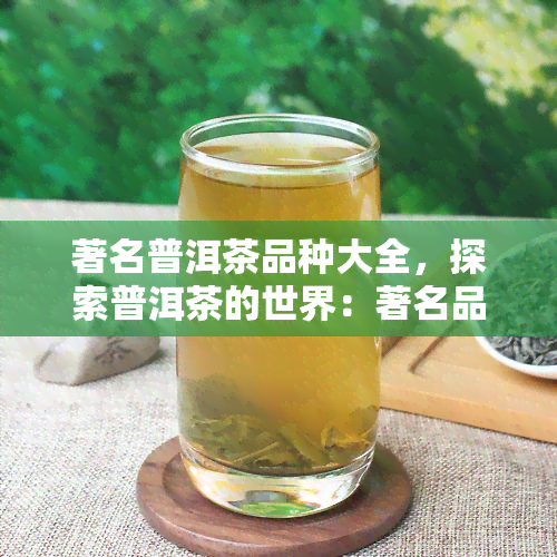 著名普洱茶品种大全，探索普洱茶的世界：著名品种大全一览