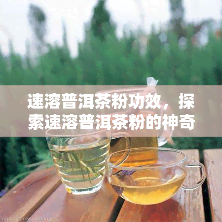 速溶普洱茶粉功效，探索速溶普洱茶粉的神奇功效，享受健生活