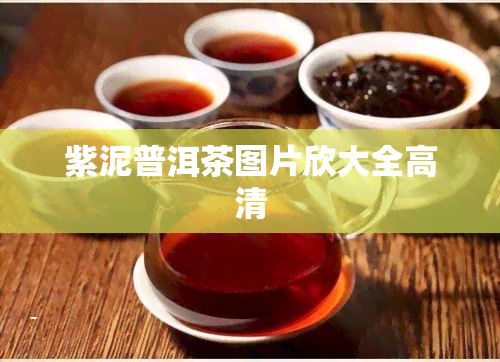 紫泥普洱茶图片欣大全高清