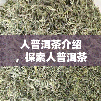 人普洱茶介绍，探索人普洱茶：故事与独特魅力