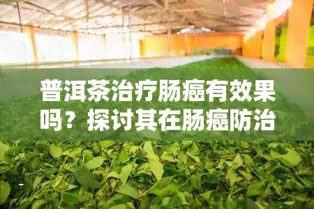 普洱茶治疗肠癌有效果吗？探讨其在肠癌防治中的作用与效果