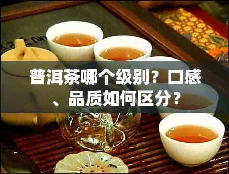 普洱茶哪个级别？口感、品质如何区分？