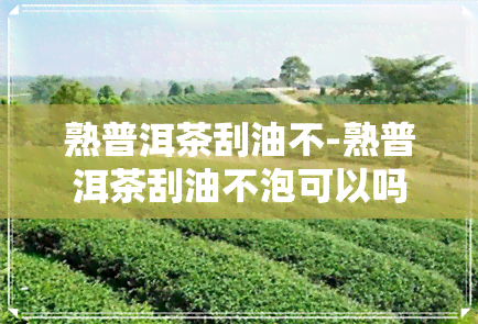 熟普洱茶刮油不-熟普洱茶刮油不泡可以吗