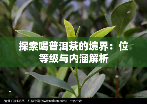 探索喝普洱茶的境界：位等级与内涵解析