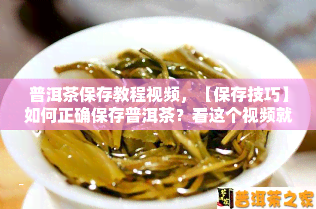 普洱茶保存教程视频，【保存技巧】如何正确保存普洱茶？看这个视频就知道！