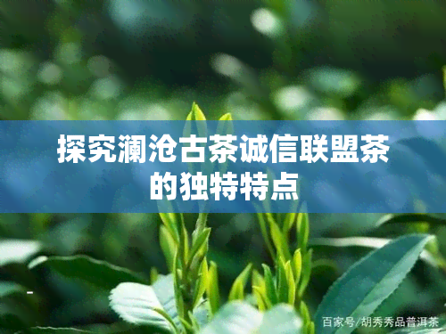 探究澜沧古茶诚信联盟茶的独特特点