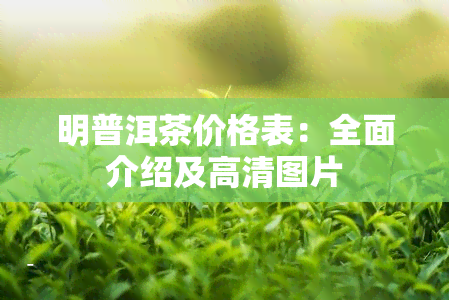 明普洱茶价格表：全面介绍及高清图片