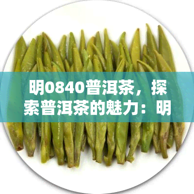 明0840普洱茶，探索普洱茶的魅力：明0840的精髓与故事