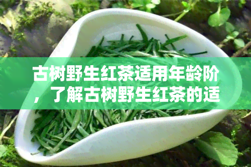 古树野生红茶适用年龄阶，了解古树野生红茶的适宜饮用年龄阶