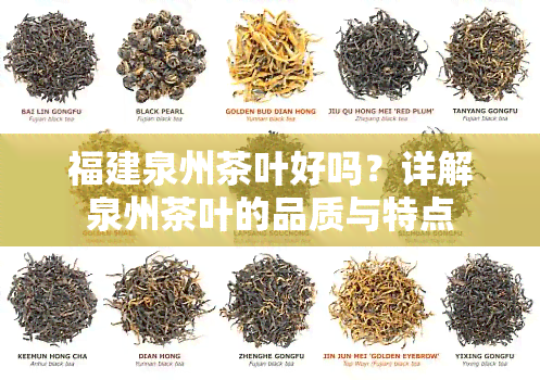 福建泉州茶叶好吗？详解泉州茶叶的品质与特点