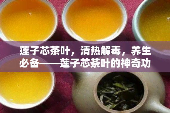 莲子芯茶叶，清热解，养生必备——莲子芯茶叶的神奇功效与饮用方法