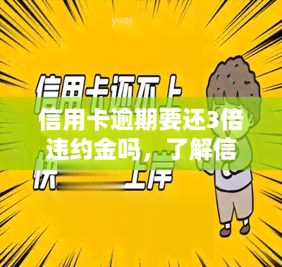 信用卡逾期要还3倍违约金吗，了解信用卡逾期：是否需要支付三倍违约金？