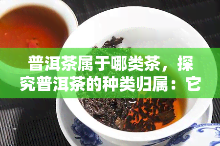 普洱茶属于哪类茶，探究普洱茶的种类归属：它属于哪一类茶？