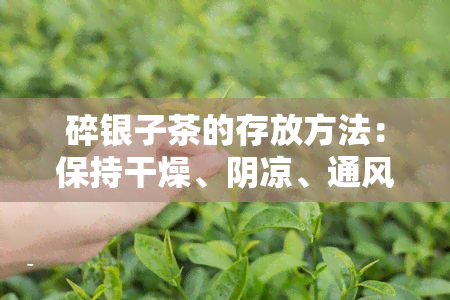 碎银子茶的存放方法：保持干燥、阴凉、通风，避免阳光直射和高。密封保存，避免受潮和异味影响。建议存放在专业的茶叶罐中，以保持其香气和口感。不要将不同种类或的茶叶混合存放，以免互相影响。定期检查茶叶的状态，如有变质应及时处理。