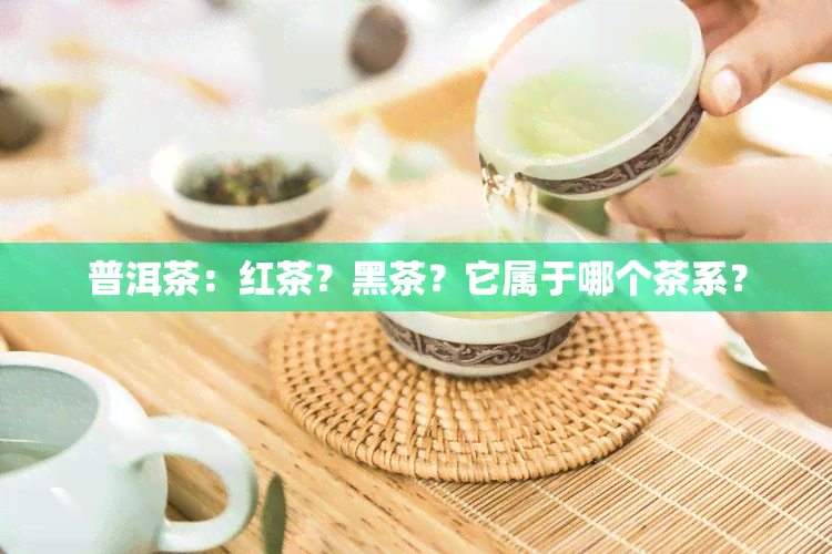 普洱茶：红茶？黑茶？它属于哪个茶系？