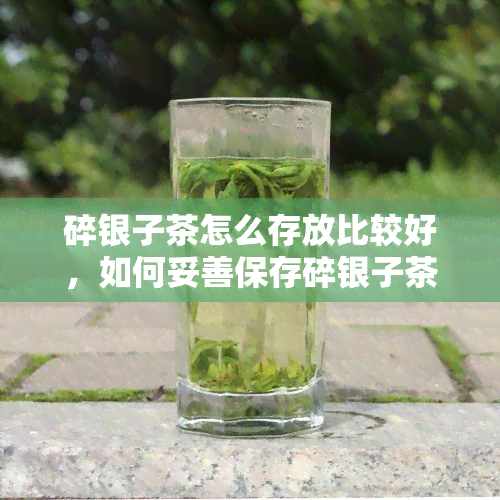 碎银子茶怎么存放比较好，如何妥善保存碎银子茶？专家分享有效方法