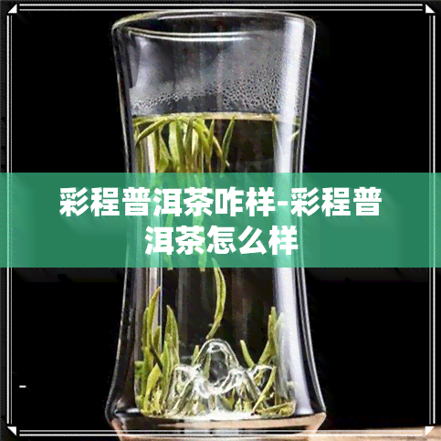 彩程普洱茶咋样-彩程普洱茶怎么样