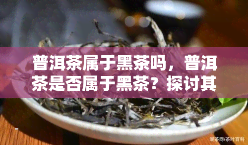 普洱茶属于黑茶吗，普洱茶是否属于黑茶？探讨其分类归属