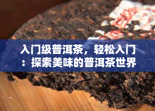 入门级普洱茶，轻松入门：探索美味的普洱茶世界