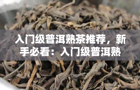 入门级普洱熟茶推荐，新手必看：入门级普洱熟茶推荐